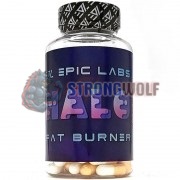 Halo, Epic Labs